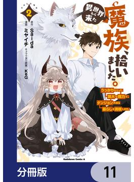 異世界から来た魔族、拾いました。 うっかりもらった莫大な魔力で、ダンジョンのある暮らしを満喫します。【分冊版】　11(角川コミックス・エース)