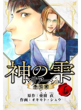 【6-10セット】マリアージュ ～神の雫 最終章～　愛蔵版(アルト出版)