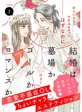 【期間限定　無料お試し版　閲覧期限2025年6月15日】結婚は墓場かゴールかロマンスか　分冊版（３）