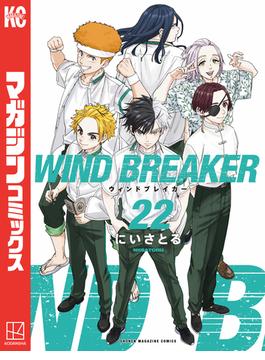 ＷＩＮＤ　ＢＲＥＡＫＥＲ（22）