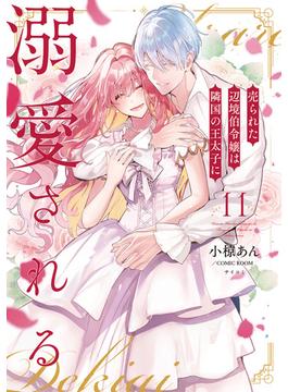 売られた辺境伯令嬢は隣国の王太子に溺愛される【コミックス版】 ： 11(COMIC ROOM)