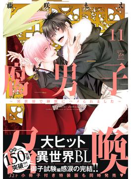 腐男子召喚～異世界で神獣にハメられました～ ： 11 【特別描き下ろし漫画付き】(コミックマージナル)