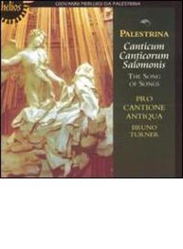 Canticum, Canticorum Solomons: Turner / Pro Cantione Antiqua