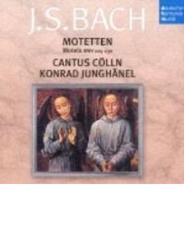 Motet Bwv, 225-230, : Junghanel / Cantus Colln