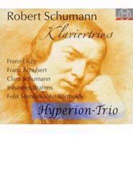 ピアノ三重奏曲全集、他　ハイペリオン・トリオ(4CD)