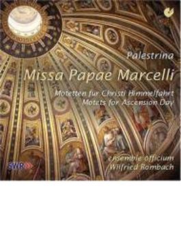 Missa Papae Marcelli: Rombach / Ensemble Officium