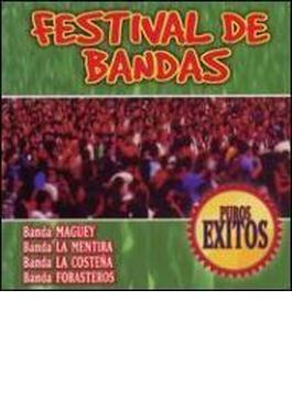Festival De Bandas