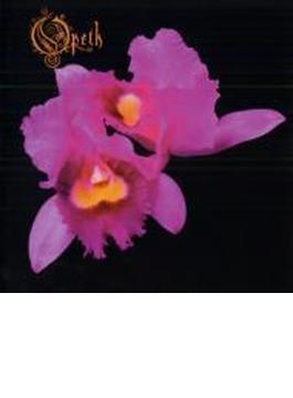 Orchid (Rmt)