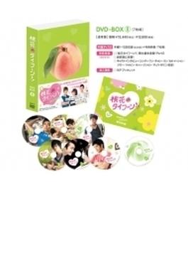 桃花タイフーン！！ ノーカット版 DVD-BOX II (通常版)