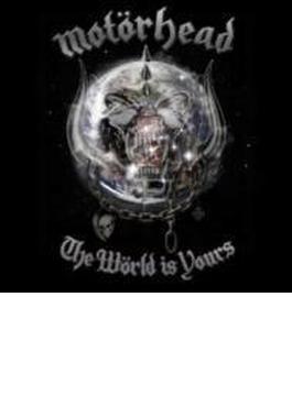 World Is Yours (+dvd)(+t-shirt / Xl)(Ltd)(Sped)