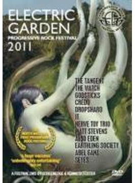 Electric Garden 2011: Live At The Progressive Rock Festival