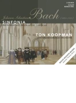 Sinfonias From Cantatas: Koopman / Amsterdam Baroque O
