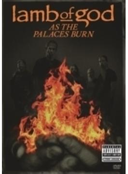 As The Palaces Burn: Dvd + Burn The Priest T-shirt Bundle (L Size)(Ltd)