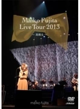 藤田麻衣子LIVE TOUR 2013 ～高鳴る～