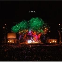 Tree (+DVD)【初回限定盤】