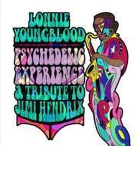 Psychedelic Experience: Tribute To Jimi Hendrix
