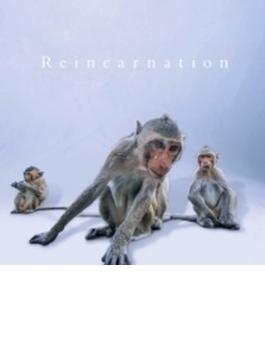 Reincarnation 【TYPE A】(+DVD)
