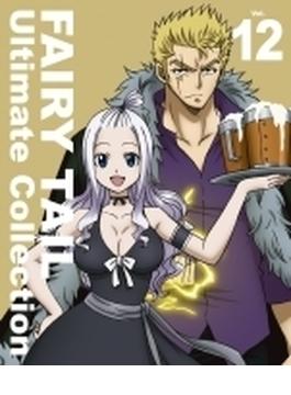 FAIRY TAIL -Ultimate collection- Vol.12