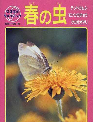 春の虫 テントウムシ モンシロチョウ クロオオアリの通販 矢島 稔 紙の本 Honto本の通販ストア