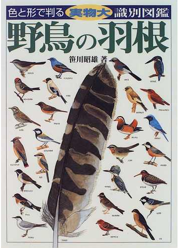 野鳥の羽根 実物大 識別図鑑の通販 笹川 昭雄 紙の本 Honto本の通販ストア