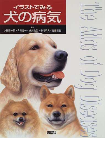イラストでみる犬の病気の通販 小野 憲一郎 紙の本 Honto本の通販ストア