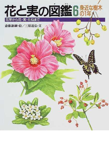 花と実の図鑑 花芽から花 実 たねまで ６ 身近な樹木の１年の通販 三原 道弘 菱山 忠三郎 紙の本 Honto本の通販ストア