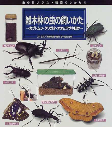 雑木林の虫の飼いかた カブトムシ クワガタ オオムラサキほかの通販 海野 和男 筒井 学 紙の本 Honto本の通販ストア