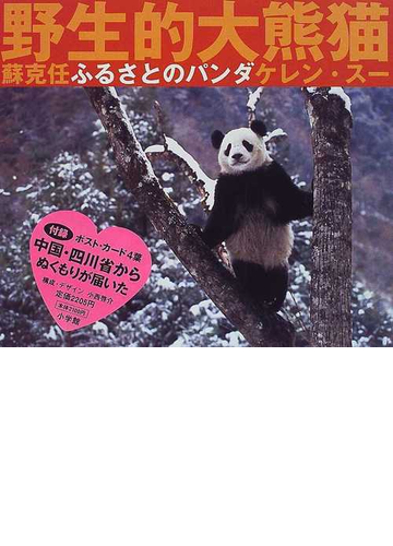 ふるさとのパンダ 野性的大熊猫の通販 ケレン スー 紙の本 Honto本の通販ストア