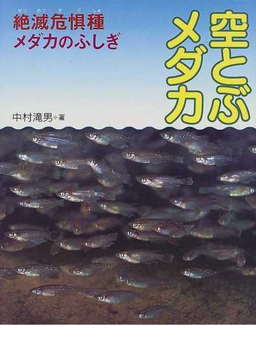 空とぶメダカ 絶滅危惧種メダカのふしぎの通販 中村 滝男 岩松 鷹司 紙の本 Honto本の通販ストア