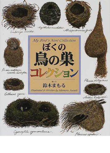 ぼくの鳥の巣コレクションの通販 鈴木 まもる 紙の本 Honto本の通販ストア