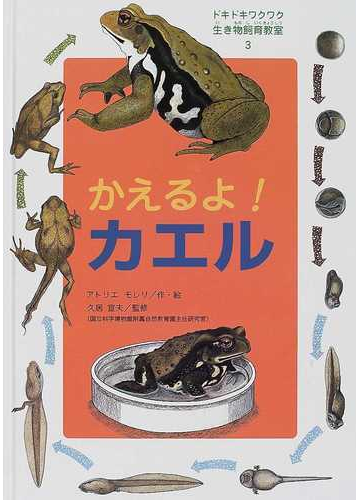 ドキドキワクワク生き物飼育教室 ３ かえるよ カエルの通販 アトリエモレリ 久居 宣夫 紙の本 Honto本の通販ストア