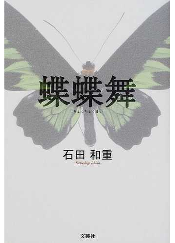 蝶蝶
