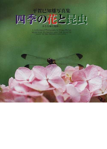 四季の花と昆虫 小さな命に乾杯 美しい日本の自然と生態系を守ろう 平賀巳知雄写真集の通販 平賀 巳知雄 紙の本 Honto本の通販ストア