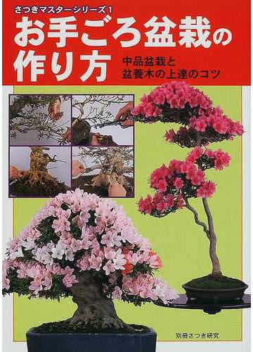 お手ごろ盆栽の作り方 中品盆栽と盆養木の上達のコツの通販 紙の本 Honto本の通販ストア