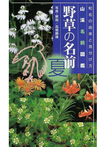 野草の名前 夏の通販 高橋 勝雄 紙の本 Honto本の通販ストア