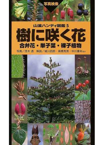 樹に咲く花 改訂第３版 合弁花 単子葉 裸子植物の通販 茂木 透 高橋 秀男 紙の本 Honto本の通販ストア