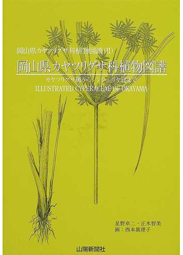 岡山県カヤツリグサ科植物図譜 カヤツリグサ属からシンジュガヤ属までの通販 星野 卓二 正木 智美 紙の本 Honto本の通販ストア
