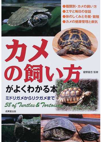 カメの飼い方がよくわかる本 ミドリガメからリクガメまでの通販 霍野 晋吉 紙の本 Honto本の通販ストア