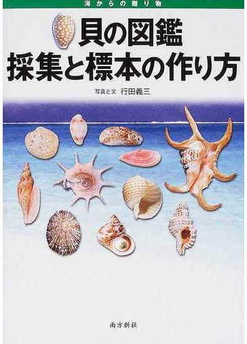 貝の図鑑採集と標本の作り方 海からの贈り物の通販 行田 義三 紙の本 Honto本の通販ストア