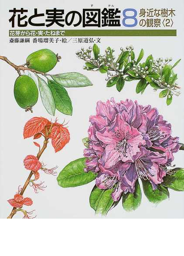 花と実の図鑑 花芽から花 実 たねまで 8 身近な樹木の観察 2の通販 三原 道弘 菱山 忠三郎 紙の本 Honto本の通販ストア 花と実の図鑑 花芽から花 実 たねまで 8 身近な樹木の観察 2の通販 三原 道弘 菱山 忠三郎 紙の本 Honto本の通販ストア