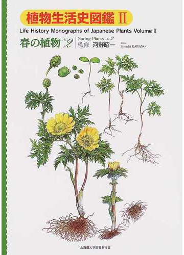植物生活史図鑑 ２ 春の植物 ｎｏ ２の通販 河野 昭一 石澤 進 紙の本 Honto本の通販ストア