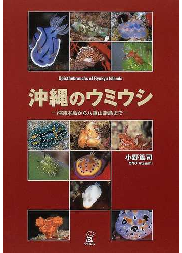 沖縄のウミウシ 沖縄本島から八重山諸島までの通販 小野 篤司 紙の本 Honto本の通販ストア