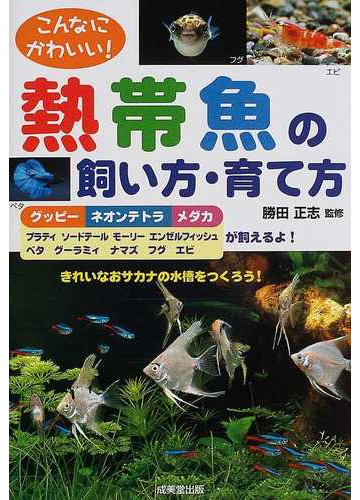 こんなにかわいい 熱帯魚の飼い方 育て方 きれいなおサカナの水槽をつくろう の通販 勝田 正志 紙の本 Honto本の通販ストア
