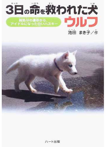 ３日の命を救われた犬ウルフ 殺処分の運命からアイドルになった白いハスキーの通販 池田 まき子 紙の本 Honto本の通販ストア