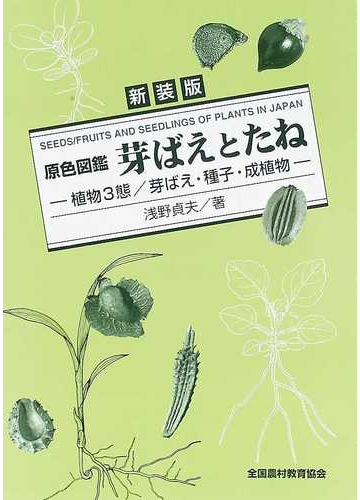 芽ばえとたね 植物３態 芽ばえ 種子 成植物 新装版の通販 浅野 貞夫 紙の本 Honto本の通販ストア