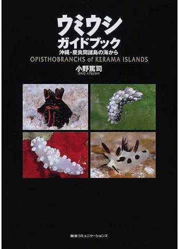 ウミウシガイドブック 沖縄 慶良間諸島の海から 第２版の通販 小野 篤司 紙の本 Honto本の通販ストア