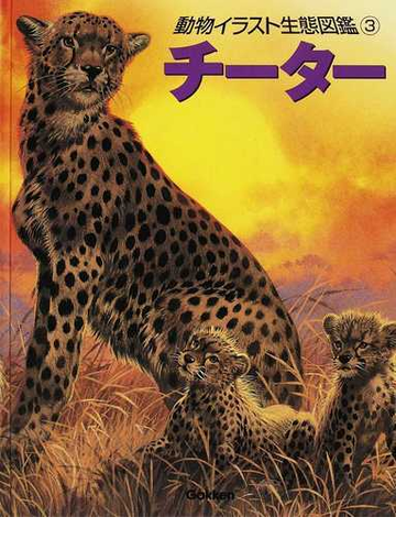 動物イラスト生態図鑑 図書館版 ３ チーターの通販 ジョン フランシス バーナード ストーンハウス 紙の本 Honto本の通販ストア