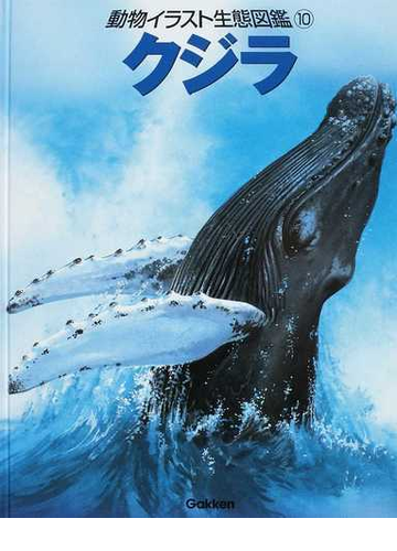 動物イラスト生態図鑑 図書館版 １０ クジラの通販 ジョン フランシス バーナード ストーンハウス 紙の本 Honto本の通販ストア