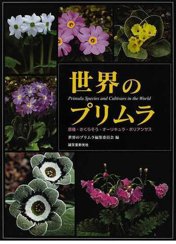 世界のプリムラ 原種 さくらそう オーリキュラ ポリアンサスの通販 世界のプリムラ編集委員会 紙の本 Honto本の通販ストア