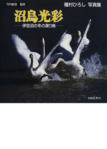 沼鳥光彩 伊豆沼の冬の渡り鳥 種村ひろし写真集の通販 種村 ひろし 竹内 敏信 紙の本 Honto本の通販ストア